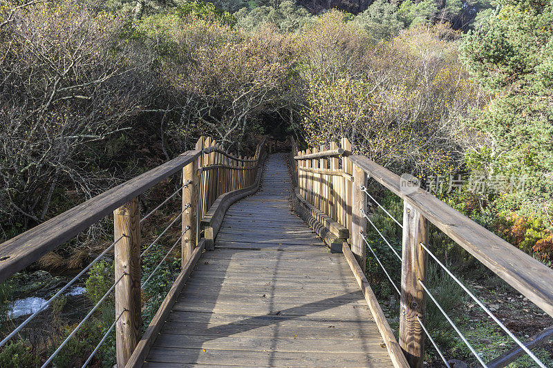 西班牙巴图埃卡斯河上的木桥