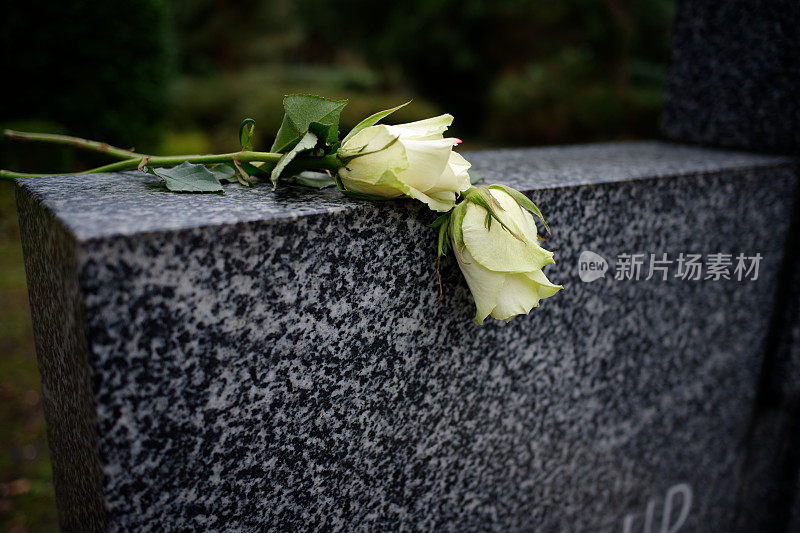 大理石墓碑上的玫瑰