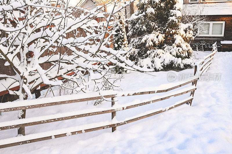 后院花园里的树被雪覆盖着