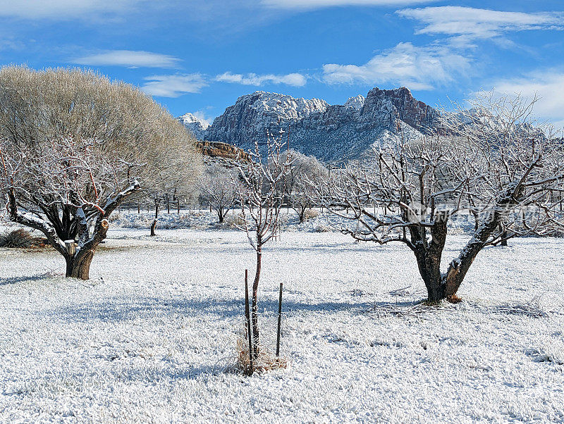 犹他州洛克维尔的牧场房屋露台和降雪后的花园，锡安国家公园的基内萨瓦山为背景