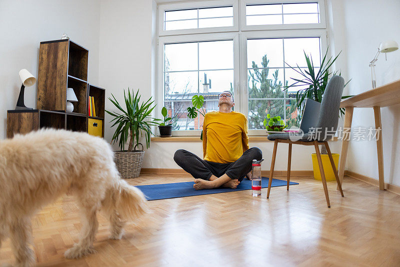 男人在家练习瑜伽，同时在笔记本电脑上上在线瑜伽课，而狗狗让他成为一个公司