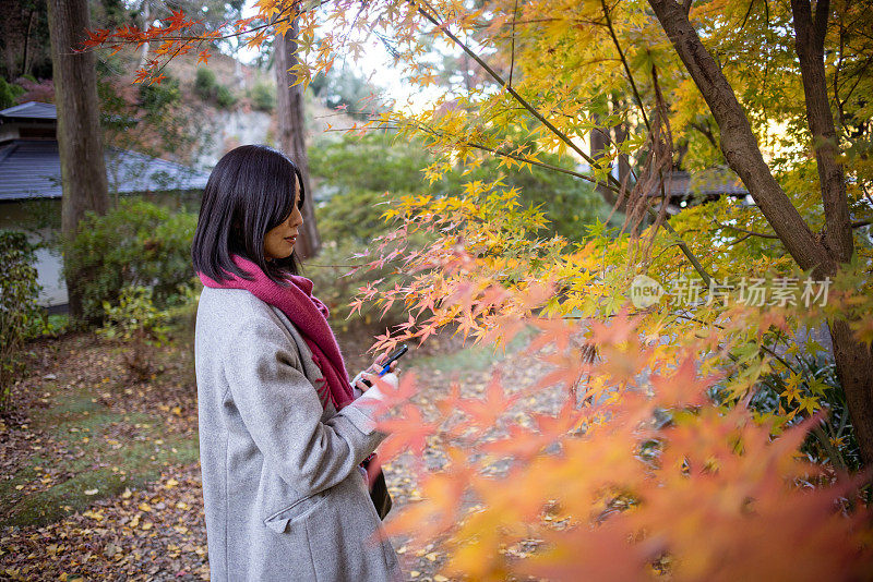女人看着秋天的树叶