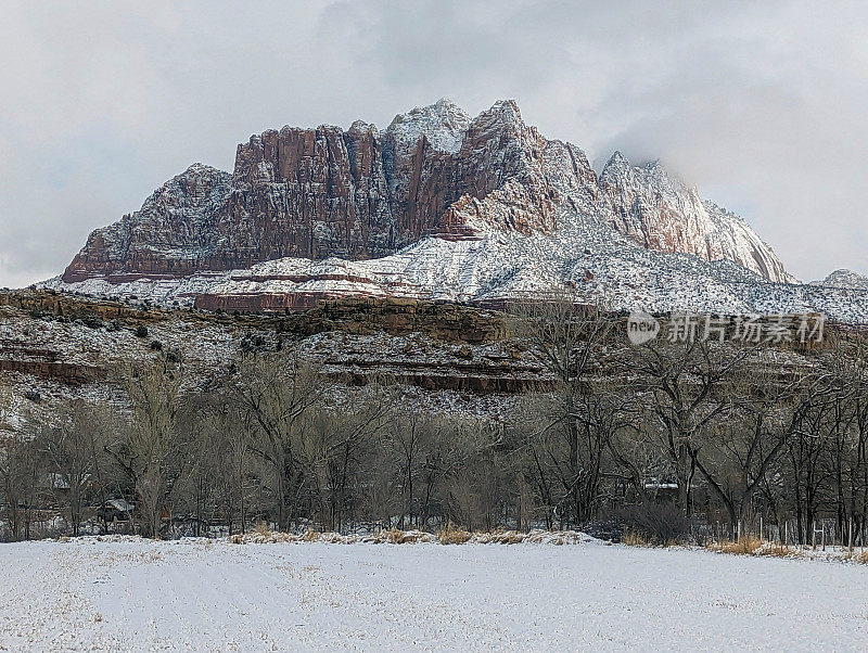 在犹他州洛克维尔的格拉夫顿路上，冬天被雪覆盖的牧场，背景是锡安国家公园