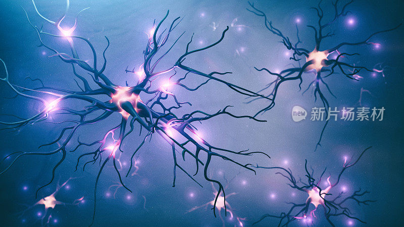 神经细胞的三维图像
