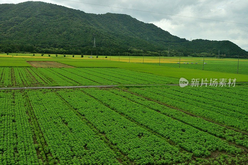 日本乡村景观:从东海道新干线高速列车上观看