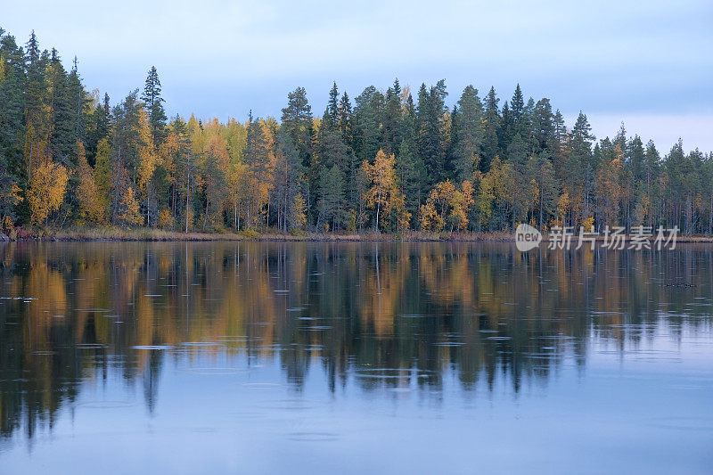 芬兰湖泊自然景观森林荒野秋天