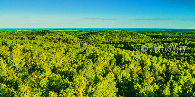 森林无人机摄影。可持续性。空中景观。自然保护。绿色经济