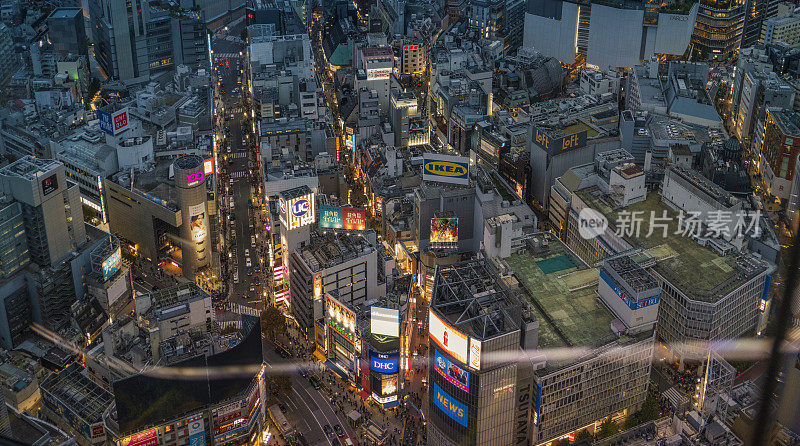 暮光脉动:涩谷耀眼的夜景