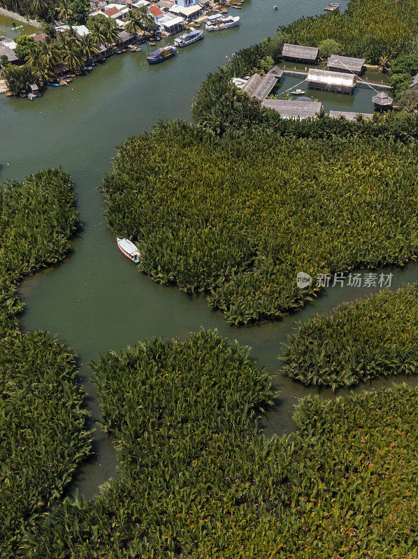 红树林生态区与尼帕棕榈树，七英亩椰林，广南省