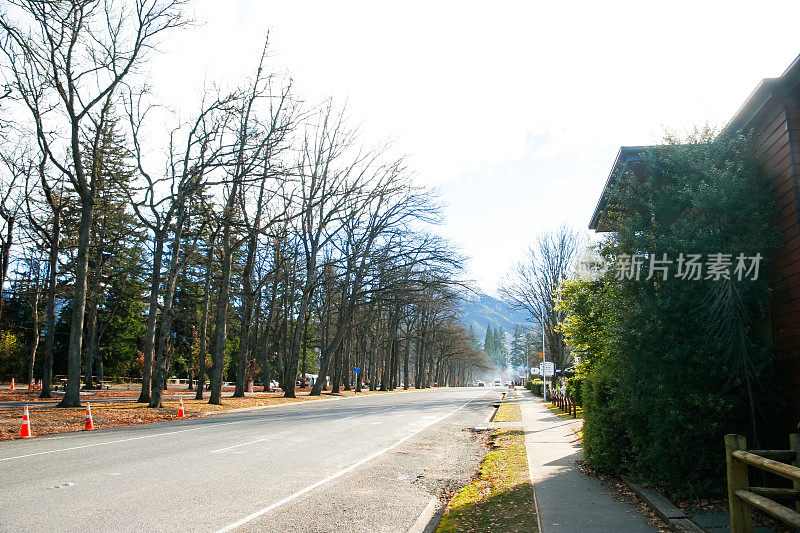 冬天，新西兰南岛哈姆纳斯普林斯的主要街道上矗立着一片树林