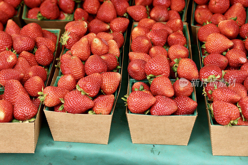 直接从农场采来的新鲜草莓