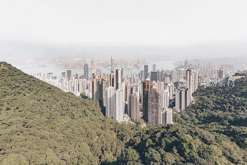 香港的天际线