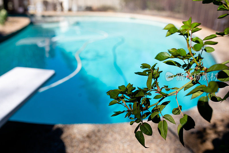游泳池服务清洁和清爽的游泳池与蓝色的水