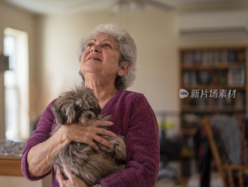 一位银发老妇人在客厅里抱着一只玩具狮子狗。