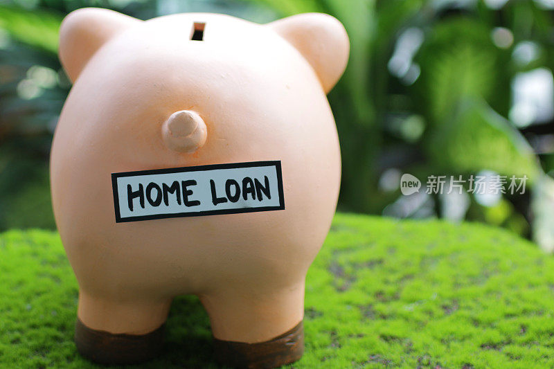 特写图像的小猪银行尾部与家庭贷款标签，插槽顶部，家庭财务和储蓄概念