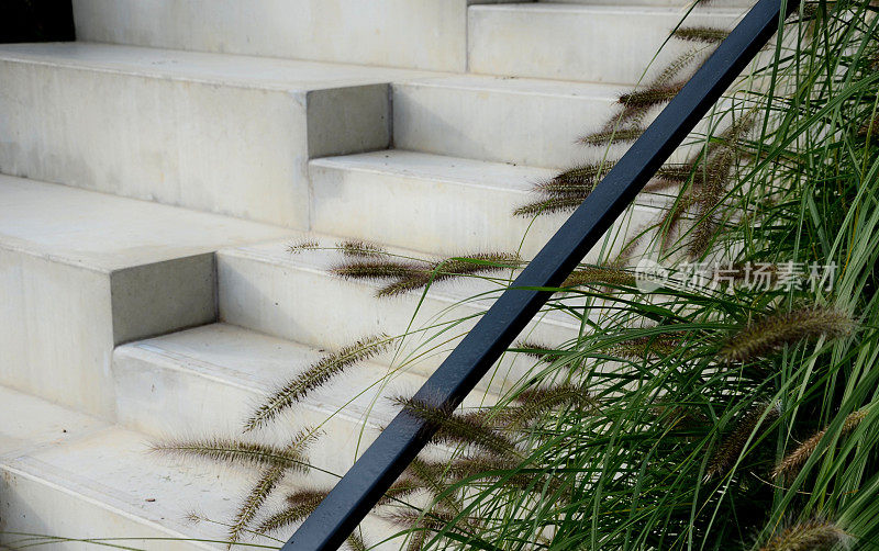 观赏性的草地由一个混凝土楼梯与金属栏杆，楼梯上你喜欢坐在一个白色光滑的水泥平地。当你上楼时，质地柔软的喷泉草抚摸着他的手