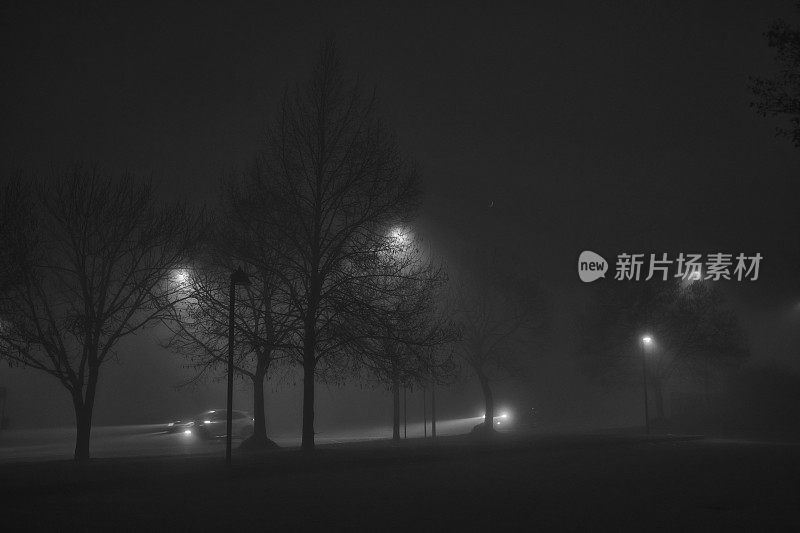 夜晚有雾有树的街道