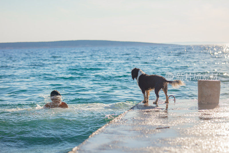 男孩在海里游泳，狗在海边