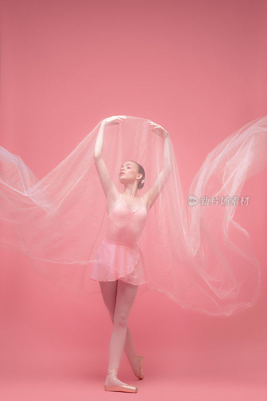 一个年轻美丽优雅的芭蕾舞者跳舞与白色面纱隔离在粉红色的工作室背景。艺术，运动，动作，灵活性，灵感概念。
