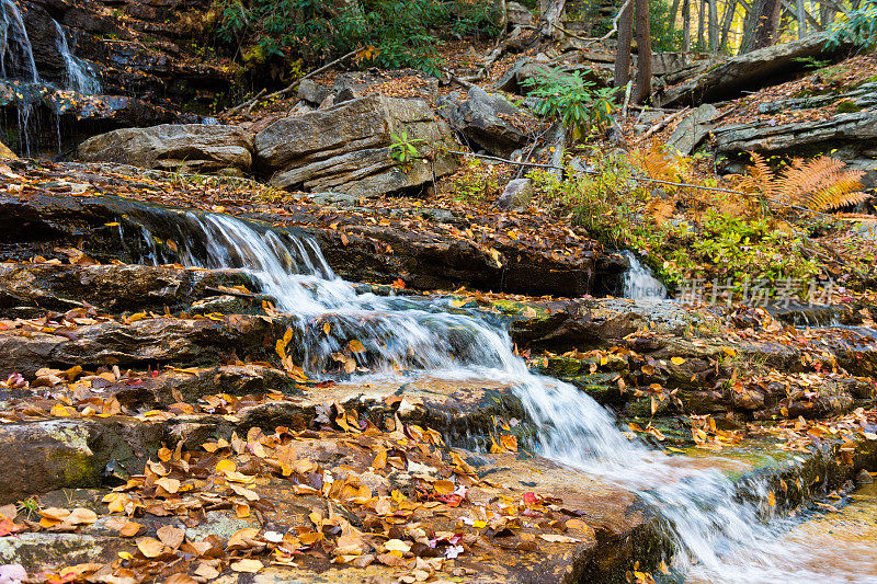 瀑布在秋天树叶上流动在明纽瓦加州立公园，纽约