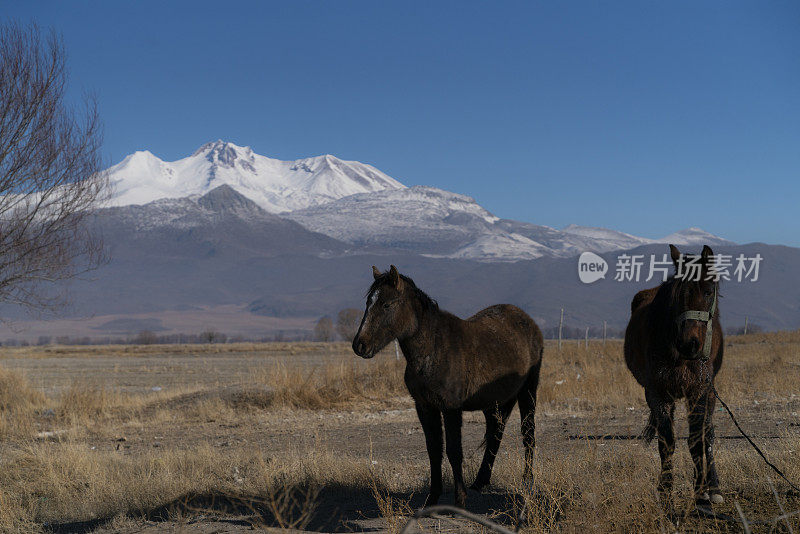 马和埃尔吉耶斯山景