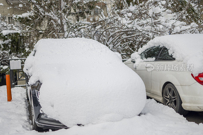 美丽的冬季公园，树木覆盖着雪