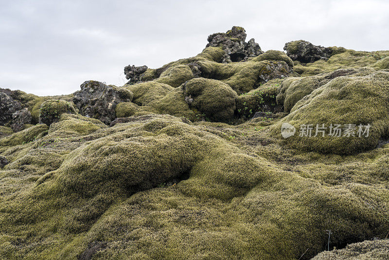 Myrdalsjokull景观，熔岩覆盖着苔藓