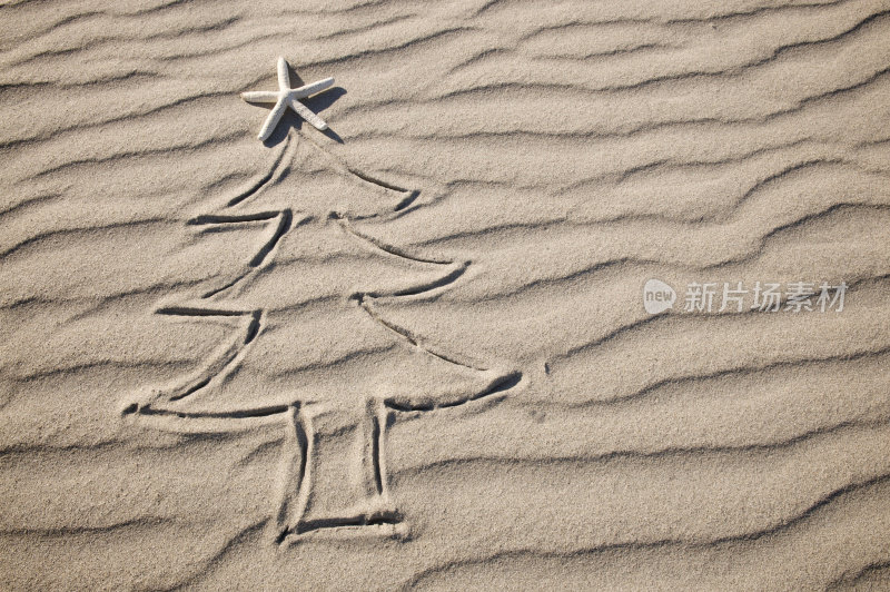 沙圣诞树w海星顶