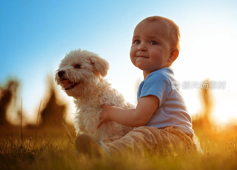 快乐的孩子和他的狗玩