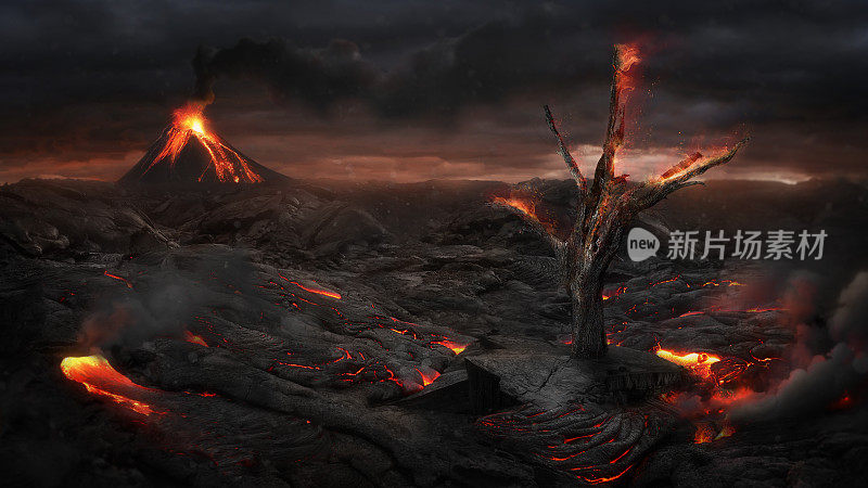 火山景观中的火树