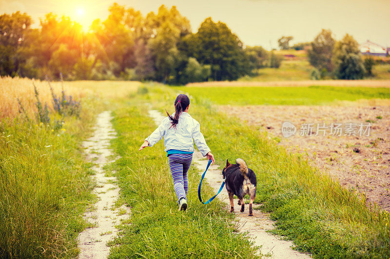 快乐的小女孩带着狗在田野里散步