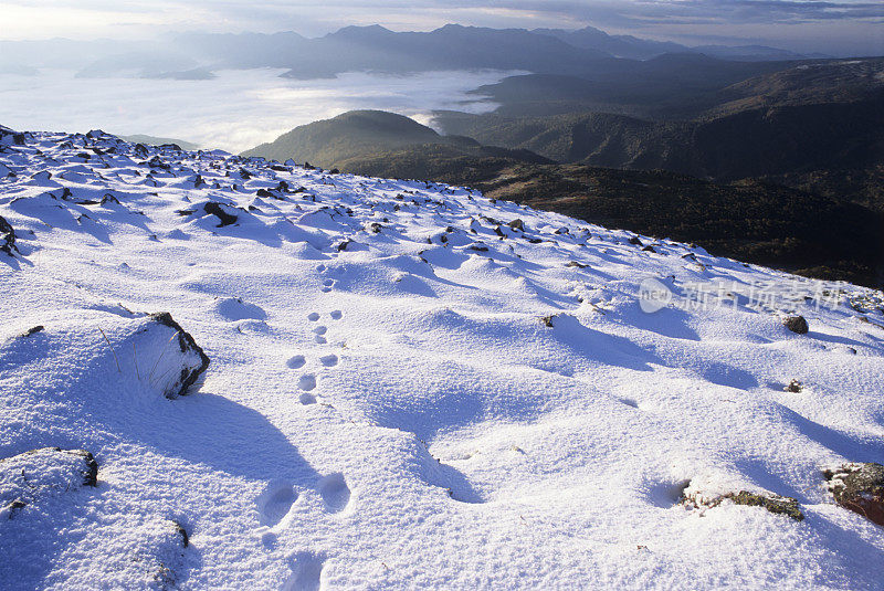 雪地上的脚印