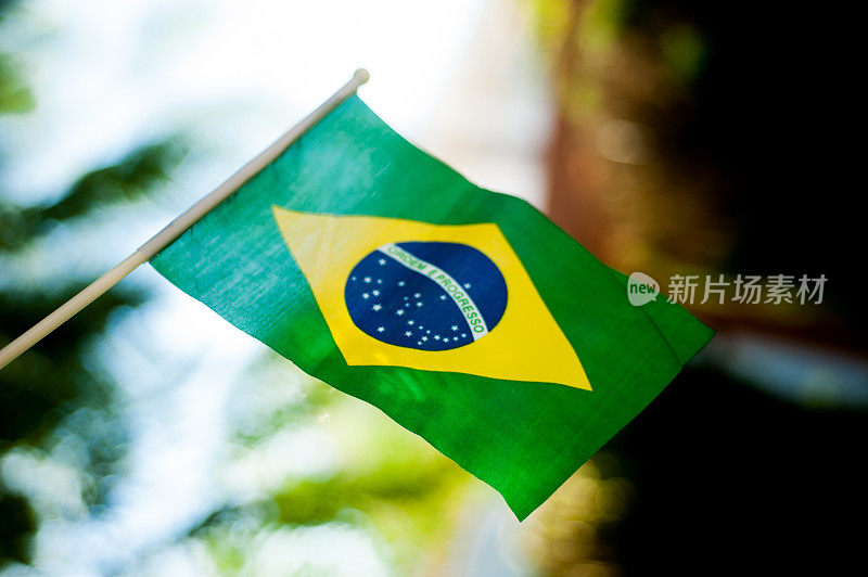 巴西国旗飘扬2号