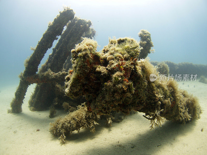 11年世界大战沉船的水下残骸