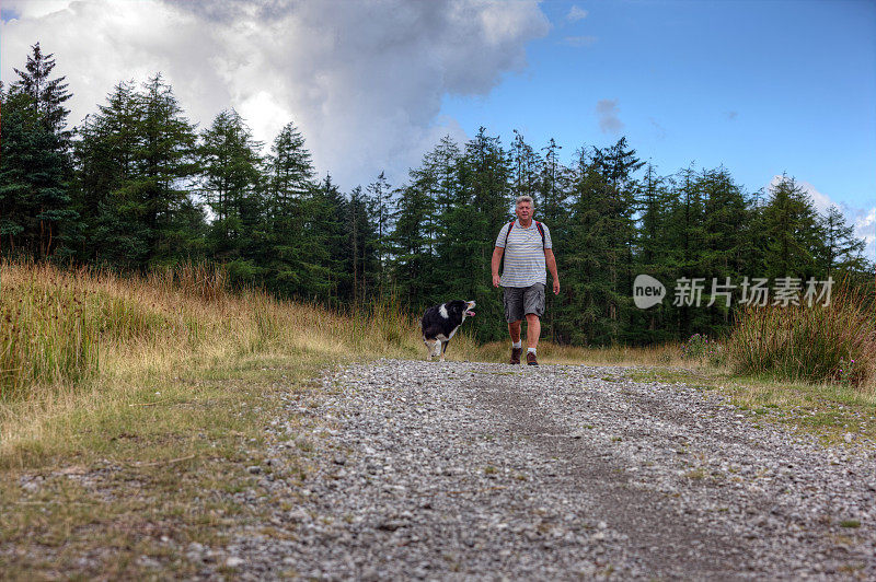 边境牧羊犬在林地轨道与高级男子