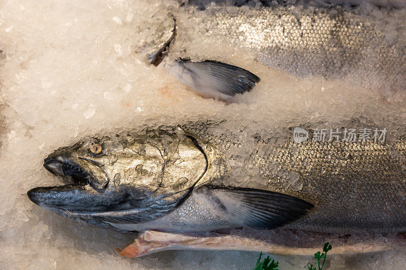 海鲜鲑鱼于街市档位出售