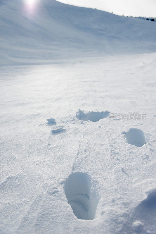 雪地上的一组脚印