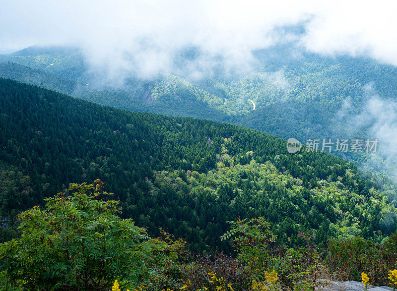 阿巴拉契亚山脉