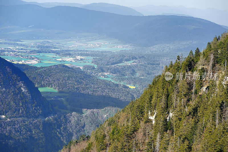 村庄在山和森林