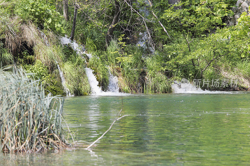小森林瀑布与水流流入克罗地亚的Plitvice湖
