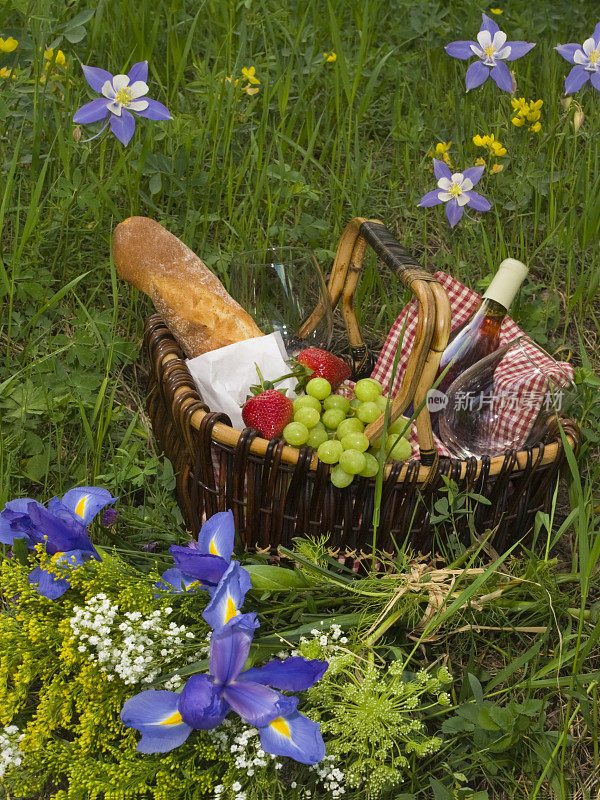 草地上的夏日野餐
