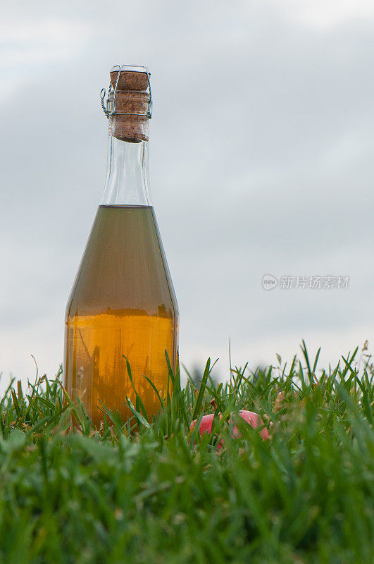 自家在草地上酿造的有机苹果酒