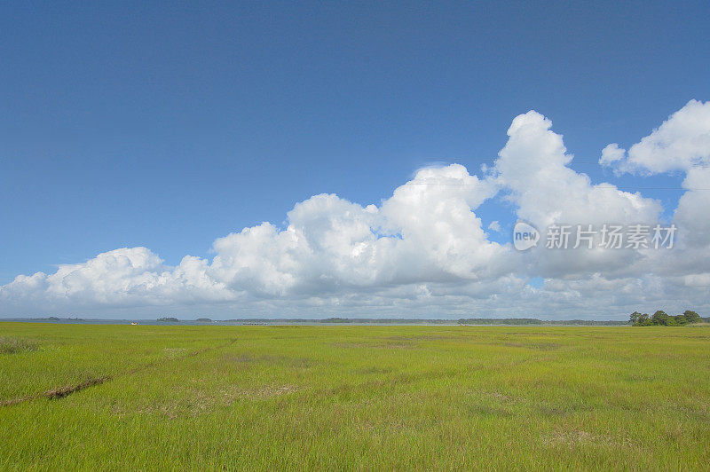 马里兰盐沼风光