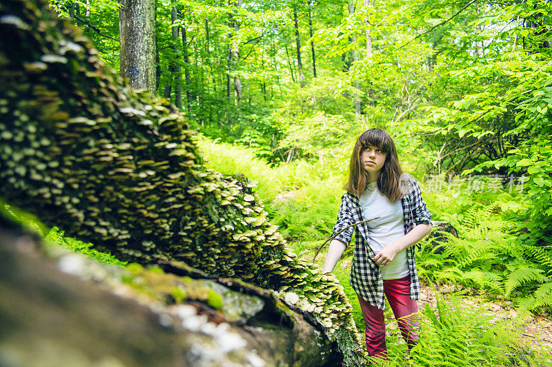 十几岁的女孩在探索树上的蘑菇