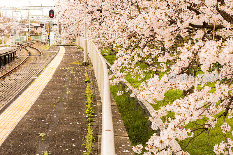 日本京都岚山站