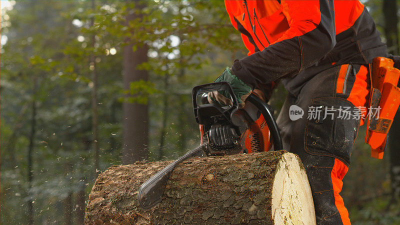 一个人用链锯在砍树干
