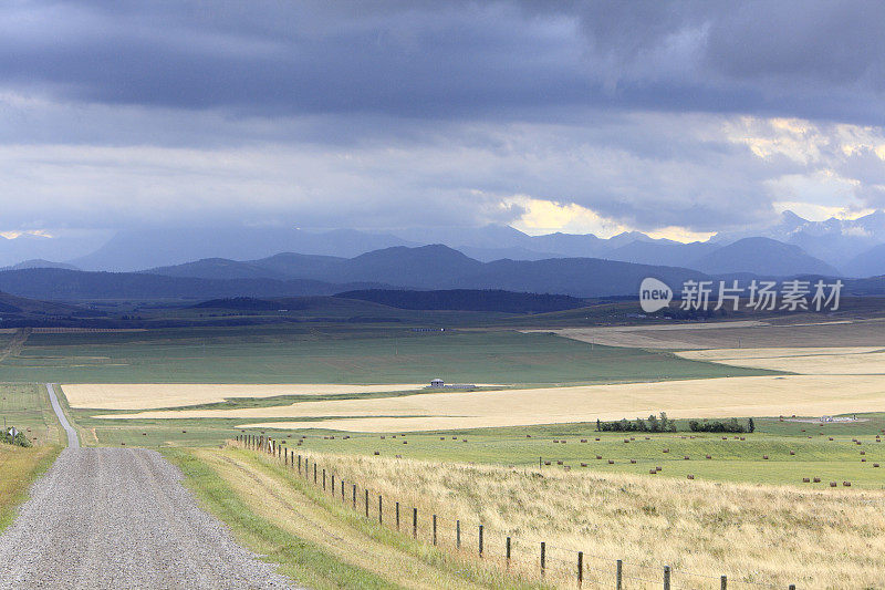 南阿尔伯塔草原和山麓景观