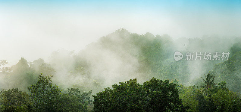 云雾热带丛林森林全景，暴雨期间有雾