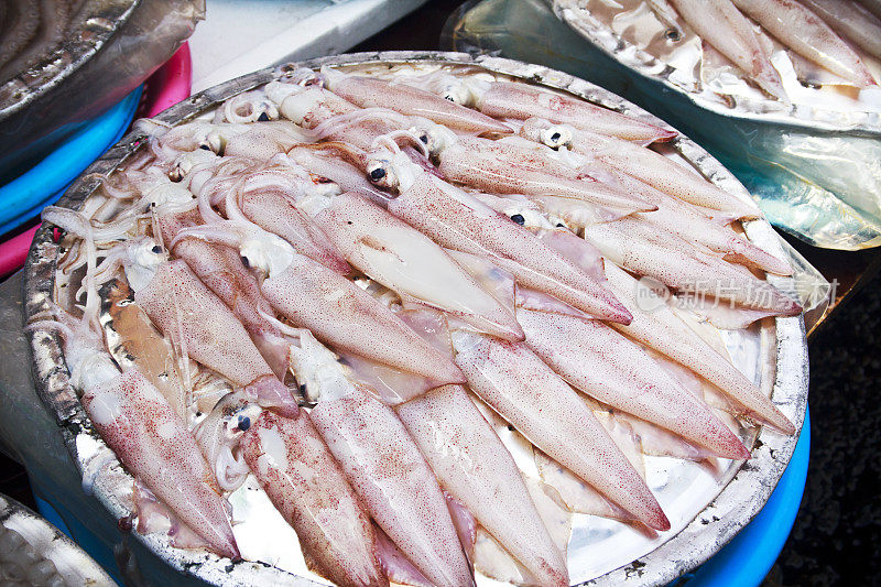 Jagalchi鱼市出售鱿鱼