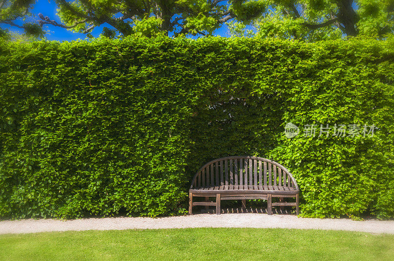 公园里绿色树篱中的旧木凳